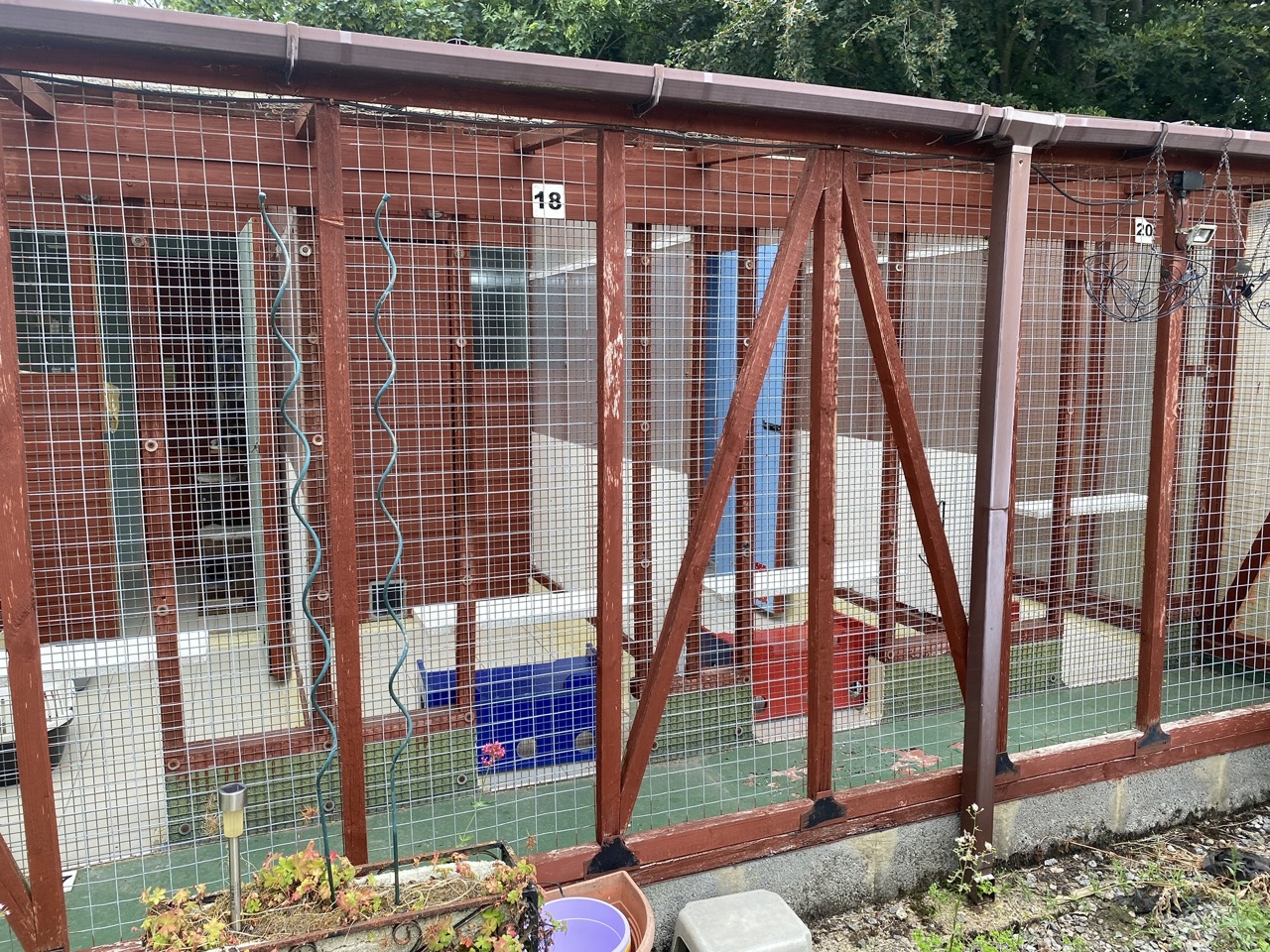 Howlish Cattery