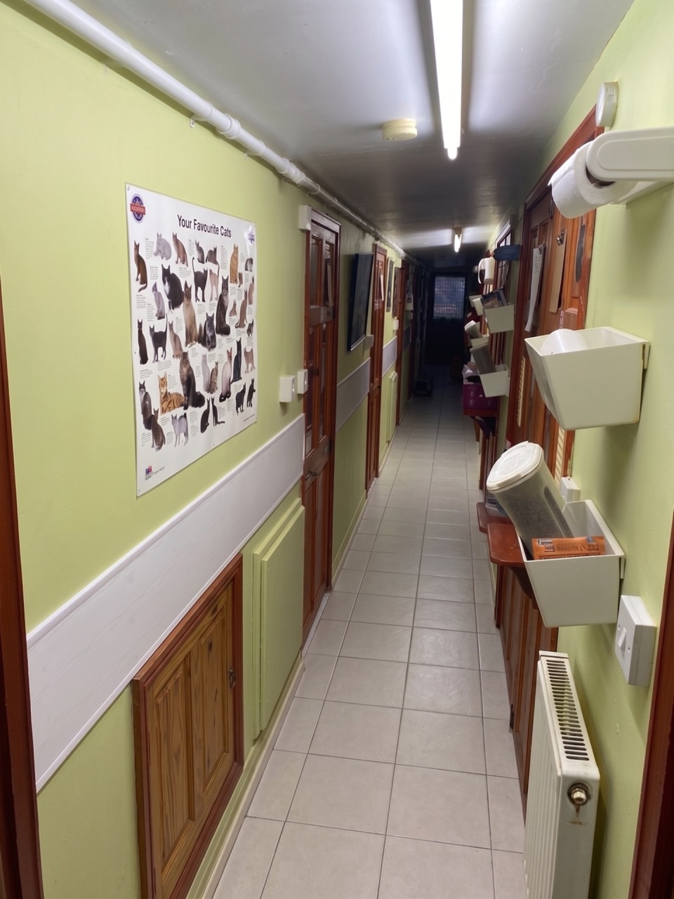Howlish Cattery